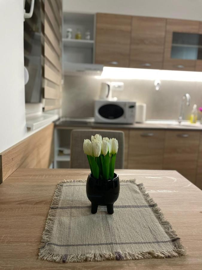 Apartman Mik Novi Sad Exterior foto